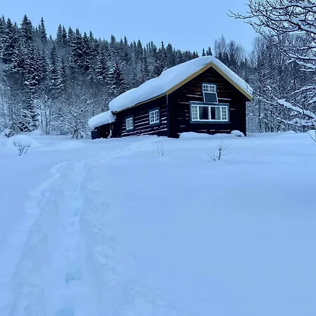 Historic Log With Views Of Jotunheimen