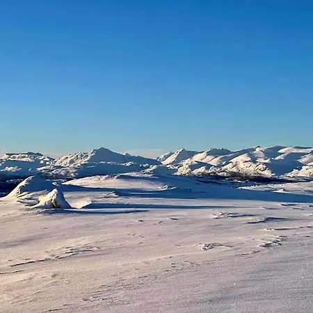 Feriehus Historic Log With Views Of Jotunheimen Heggenes