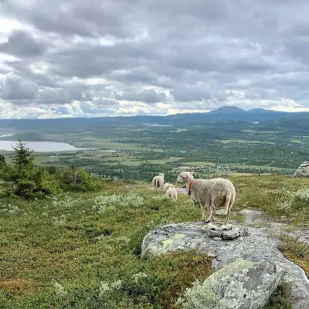 Historic Log With Views Of Jotunheimen Feriehus *