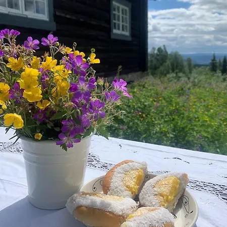 Historic Log With Views Of Jotunheimen Feriehus