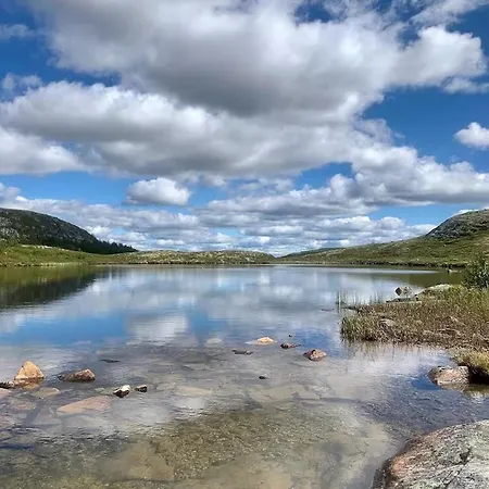 Historic Log With Views Of Jotunheimen *